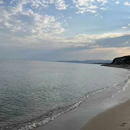 Solea Sardinia *