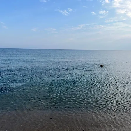 Solea Sardinia