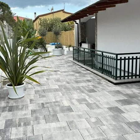 Solea Sardinia *
